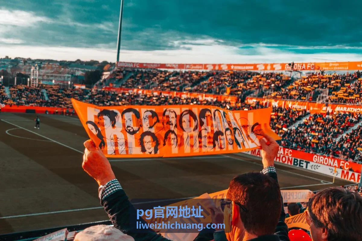 pg官网地址入口核验页面的竖版示意封面