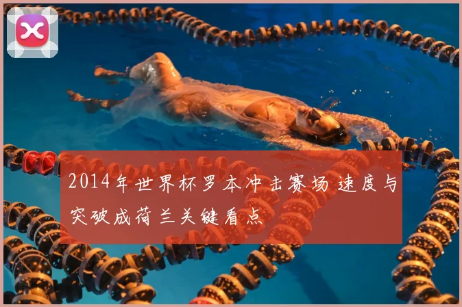 2014年世界杯罗本冲击赛场 速度与突破成荷兰关键看点