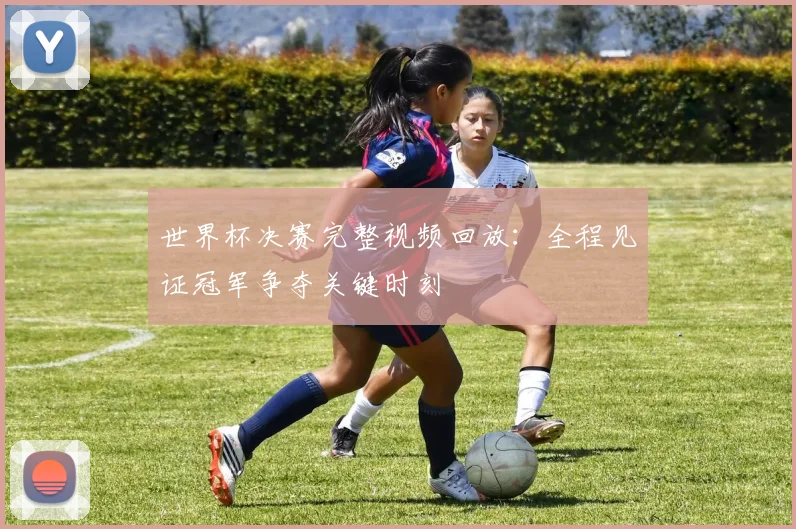 世界杯决赛完整视频回放:全程见证冠军争夺关键时刻