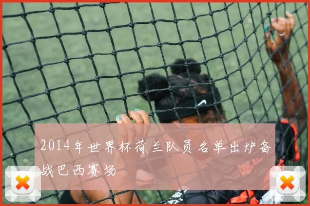 2014年世界杯荷兰队员名单出炉备战巴西赛场