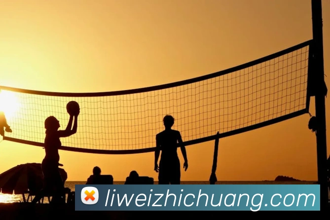 买球官方APP 封面图